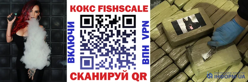 дарнет шоп  Петровск-Забайкальский  Кокаин FishScale 