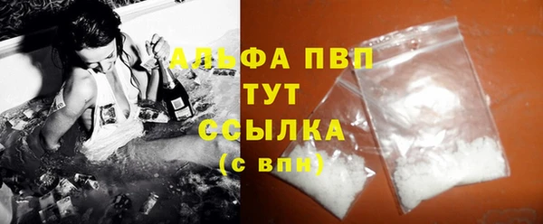 соль ск Новодвинск
