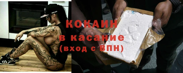 соль ск Новодвинск