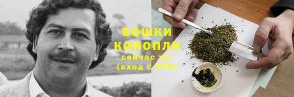 PSILOCYBIN Бугульма