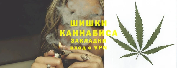 соль ск Новодвинск